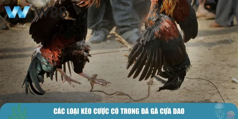 Các loại kèo cược có trong đá gà cựa dao