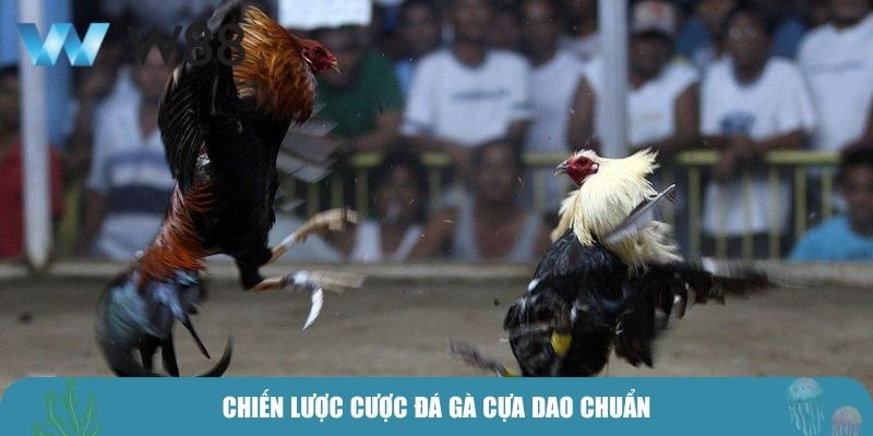Chiến lược cược đá gà cựa dao chuẩn