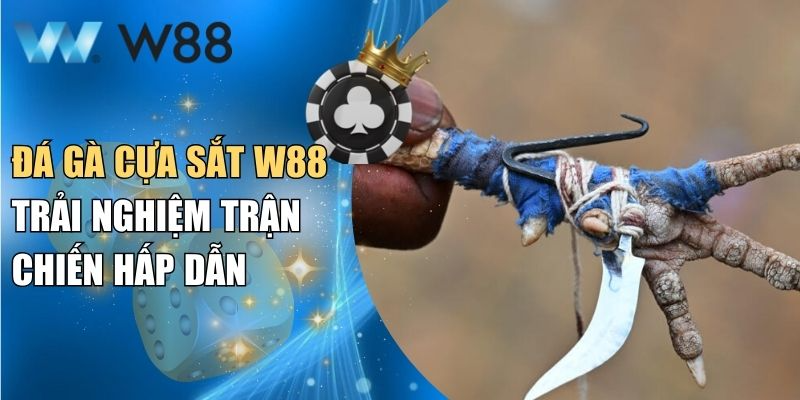 Đá gà cựa sắt