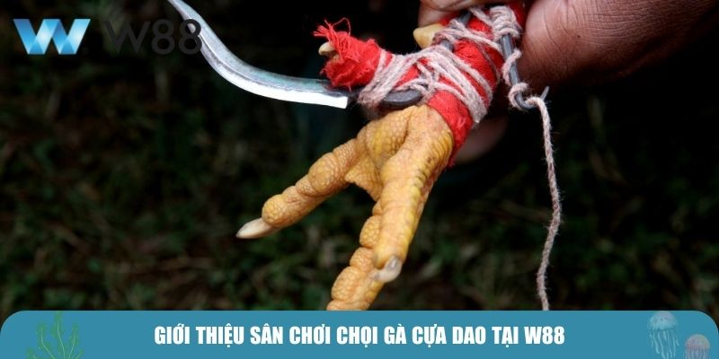 Giới thiệu sân chơi chọi gà cựa dao tại W88