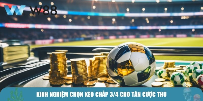 Kinh nghiệm chọn kèo chấp 3/4 cho tân cược thủ