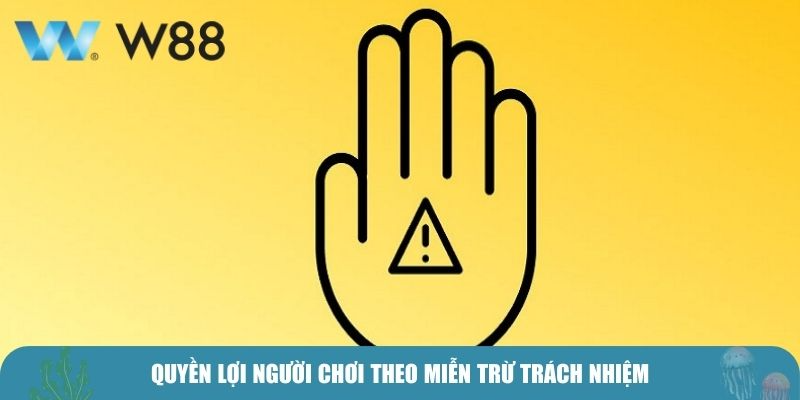 Quyền lợi người chơi theo miễn trừ trách nhiệm