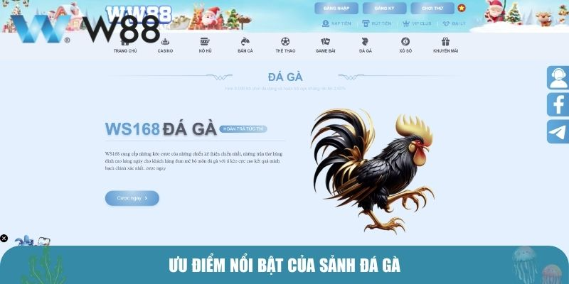 Ưu điểm nổi bật của sảnh đá gà